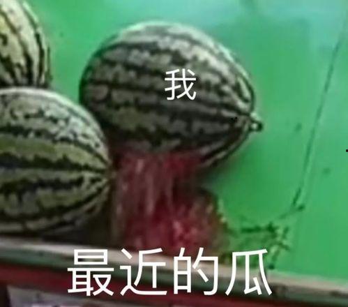 状态不好的吃瓜视频,揭秘网络视频中的另类娱乐现象