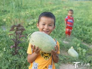 儿童吃瓜群众视频,小瓜娃们的欢乐吃瓜时光