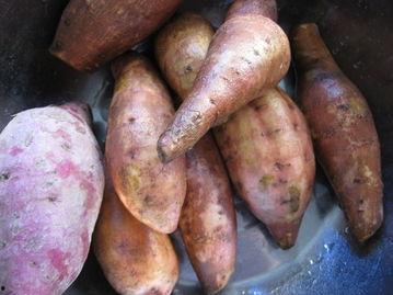 凉瓜地薯怎么吃才好吃视频,家常做法，营养满分