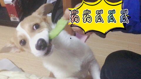 宜家视频吃瓜停不下来,网友停不下来